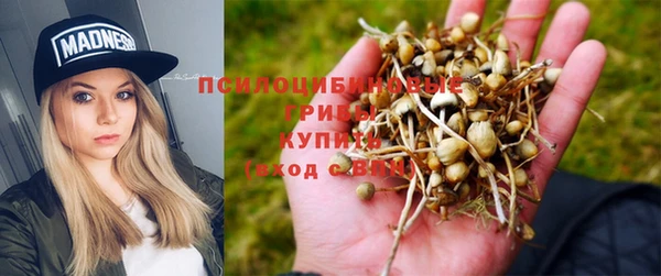 прущие крисы Переславль-Залесский