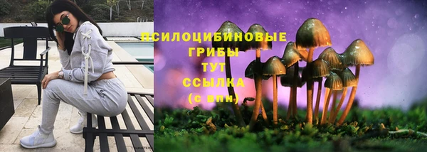 прущие крисы Переславль-Залесский
