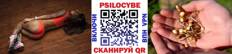Псилоцибиновые грибы мицелий  Бакал 